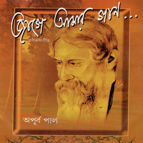 Akash Bhora Surjo Tara - Apurbo Paul
