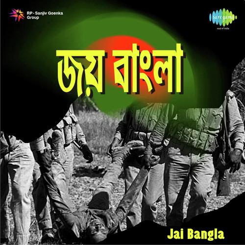 Amar Michhiler Sei Mukh - Sudhin Dasgupta