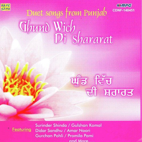 Mein Aashiqan Nun Dasdi Firan - Various Artists