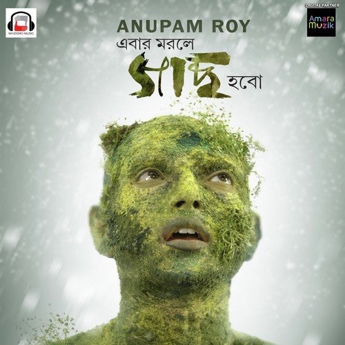 Rock And Roll - Anupam Roy