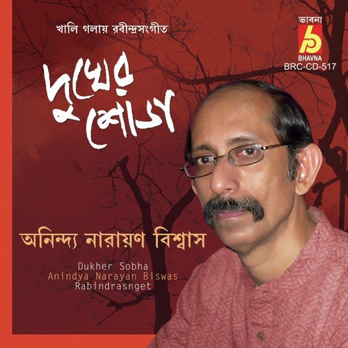 Andhojone Deho Alo - Anindya Narayan Biswas