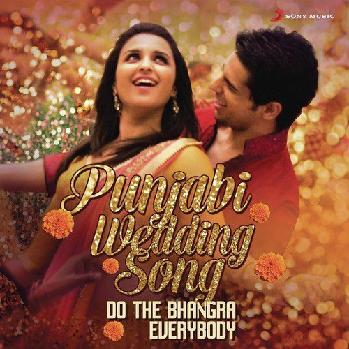 Punjabi Wedding Song (From Hasee Toh Phasee) - Various