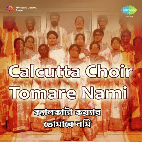 Chokher Jale Karo Tarpan - Pandit Ravi Shankar