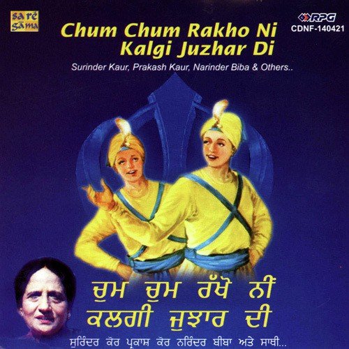 Tere Singha Ne - Various Artists