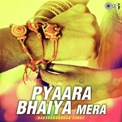 Mamta Bhare   Female (From Krodh) - Rajesh Roshan