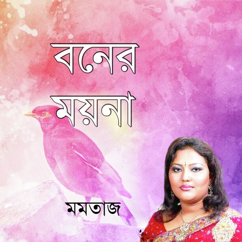 Amay Dubaiya - Momtaj