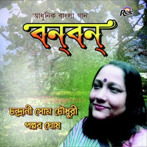 Dekha Hole Bolo - Various Artists