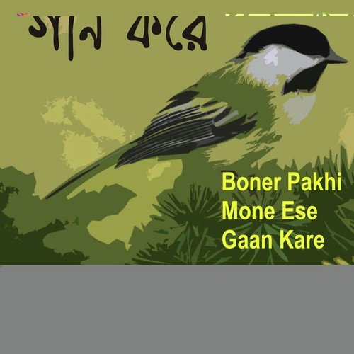 Boner Pakhi Mone Ese Gaan Kare - Purna Das Baul