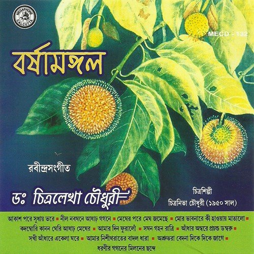Ashrubhara Bedana Dike Dike Jage - Various Artists