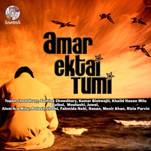 Jiboner Shob Kobita - Various Artists