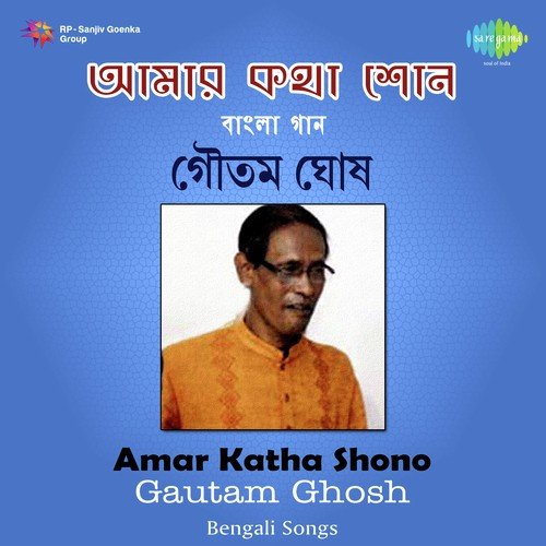 Bollywood Tollywood - Goutam Ghose
