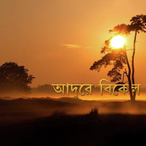 Nil Nil Ratri - Shoma Banerjee
