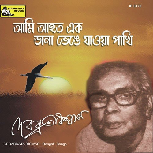 Aalor Chokher Aalo - Various Artists