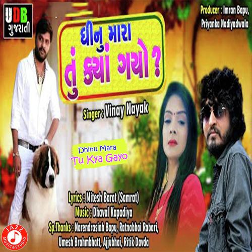 Dhinu Mara Tu Kya Gayo - Vinay Nayak
