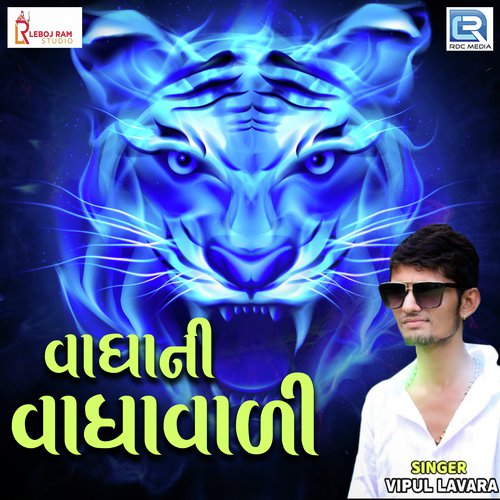 Vagha Ni Vaghavari - Vipul Lavara