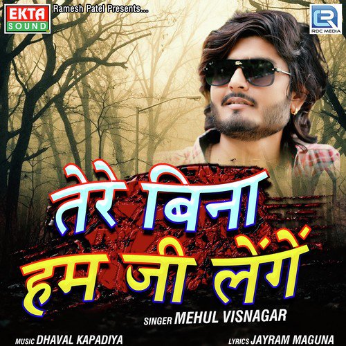 Tere Bina Hum Jee Lenge - Mehul Visnagar