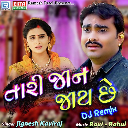 Tari Jaan Jaay Chhe Dj Remix - Jignesh Barot