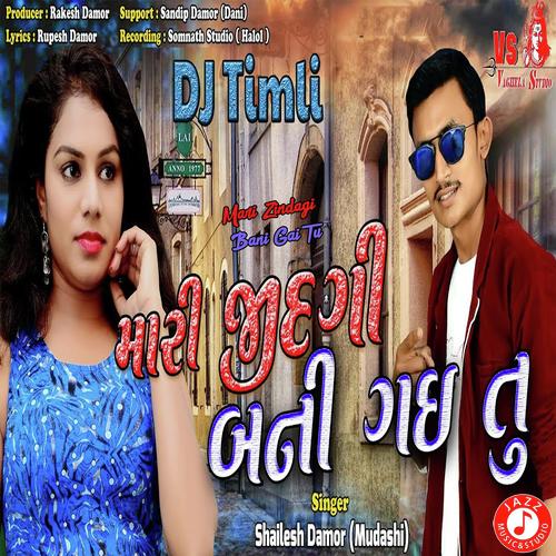 Mari Zindagi Bani Gai Tu - Shailesh Damor