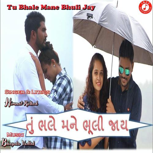 Tu Mane Bhuli Jay - Shailesh Damor
