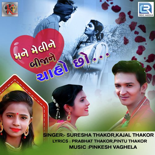 Mane Meline Bijane Chaho Chho - Vishnu Thakor