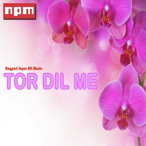 Dewani Tore Pyar Me - Various Artists