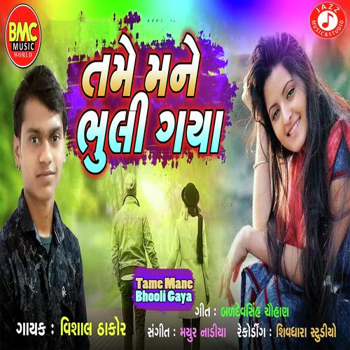 Tame Mane Bhooli Gaya - Vishal Thakor