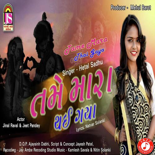 Tame Mara Thai Gaya - Hetal Sadhu