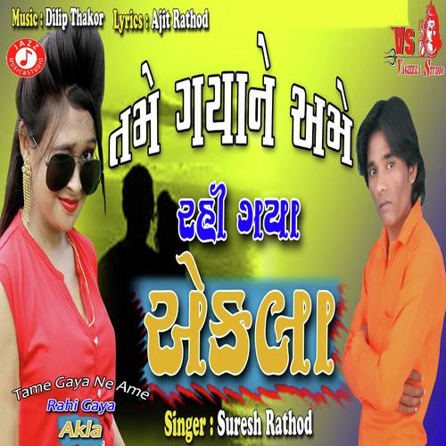 Tame Gaya Ne Ame Rahi Gaya Akla - Suresh Rathod