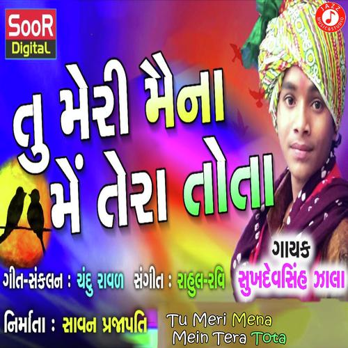 Tu Meri Mena Mein Tera Tota - Sukhdevsinh Zala