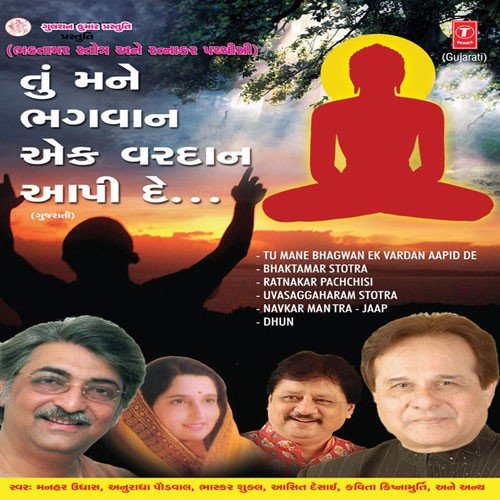 He Vir Mahavir - Various Artists