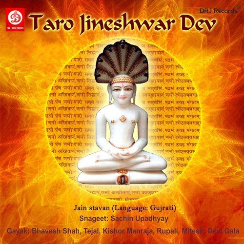 Hu Aapna Shrne Aayo - Various Artists
