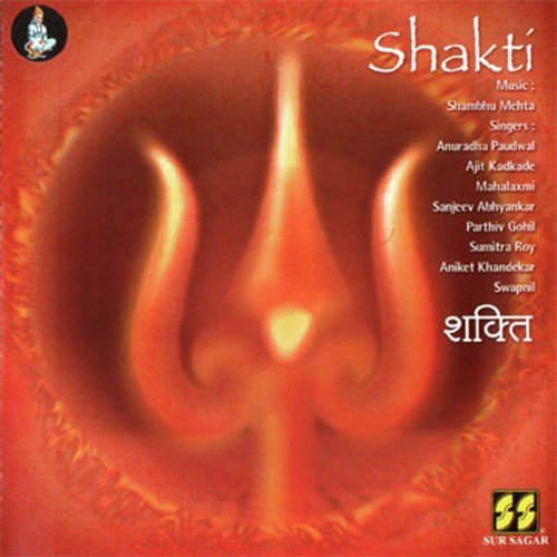 Narayani Stuti - a titleSongs performed by Anuradha Paudwal  Ajit Kadkade  Mahalaxmi  Sanjeev Adhyankar  Sumitra Roy 