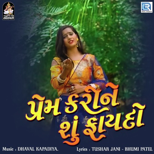 Prem Kari Ne Su Faydo - Amita Limbachiya