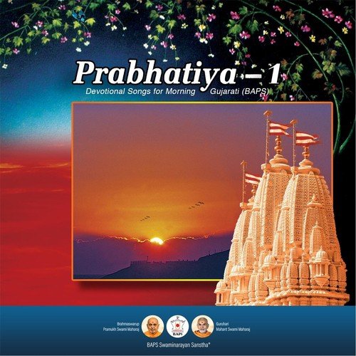 Rudu Swaminarayam Nam - Various Artists