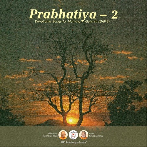 Shobhasaagar Shyaam Tamaari - Various Artists