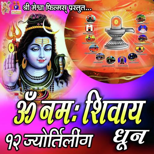 Om Namah Shivay - Saloni Thakor