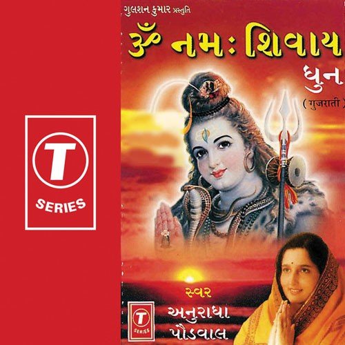 Om Namah Shivay Dhun - Various Artists