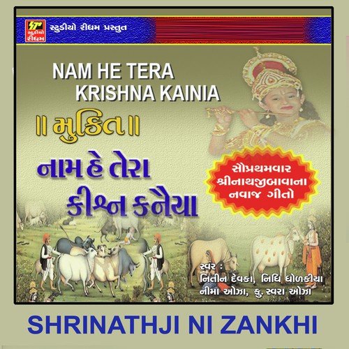 Naam Hai Tera Krishna Kaniya - Nidhi Dhodkiya