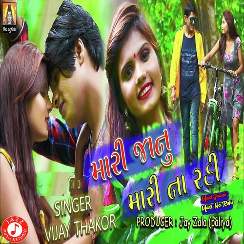 Mari Jaanu Mari Na Rahi - Vijay Thakor