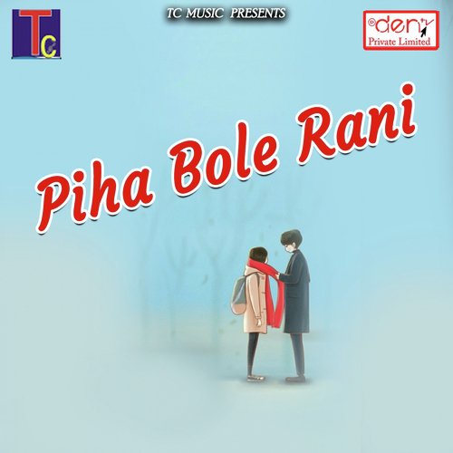 Chhattisgarh Gavaiya - Various Artists