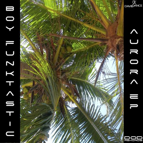 Inverlandia - Boy Funktastic
