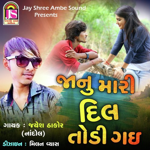 Janu Mari Dil Todi Gai - Jayesh Thakor