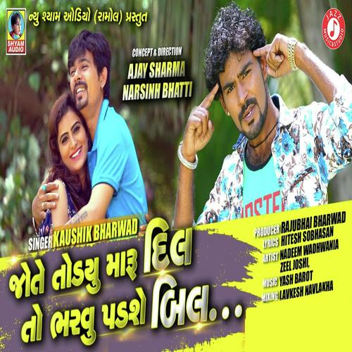 Jo Te Todyu Maru Dil Toh Bharvu Padse Bill - Kausik Bharavad