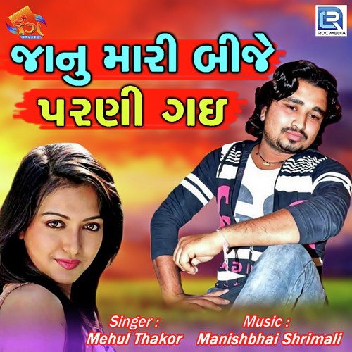 Janu Mari Bije Parani Gai - Mehul Thakor
