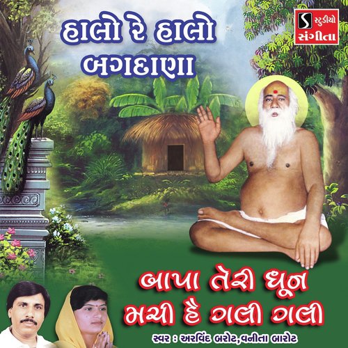Halo Re Halo Bagdana - Arvind Barot, Vanita Barot