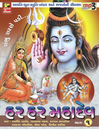 Har Har Mahadev Har (Dhun) - Various Artists