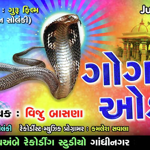 Goga No Order - Viju Basana