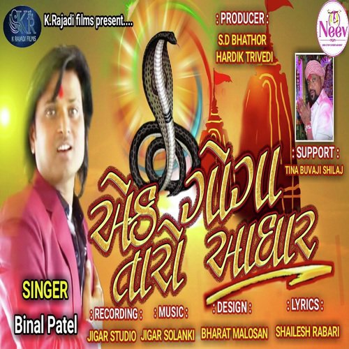 Ek Goga Taro Aadhar - Binal Patel