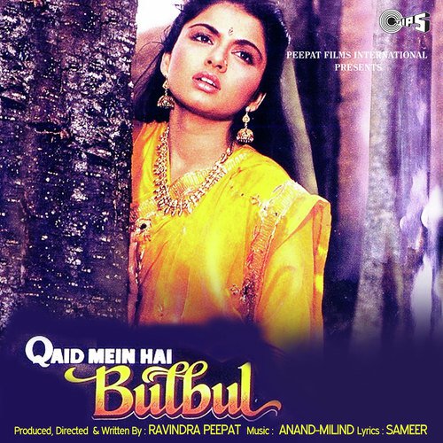 Qaid Mein Hai Bulbul - Anand-Milind