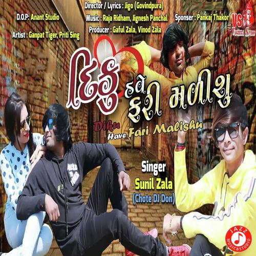 Diku Have Fari Malishu - Sunil Zala